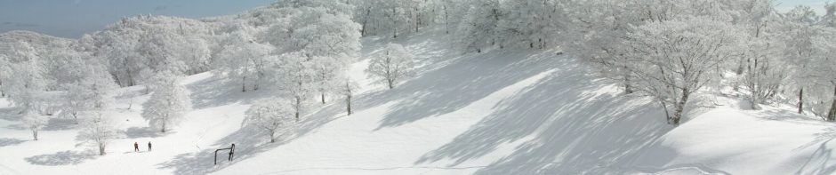 奈良山岳会　Nara Alpine Club