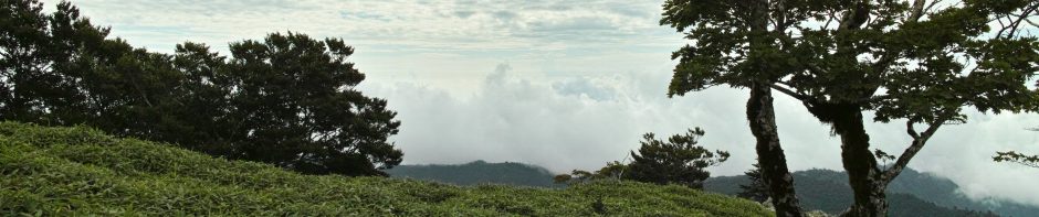 奈良山岳会　Nara Alpine Club