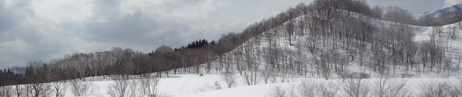 奈良山岳会　Nara Alpine Club